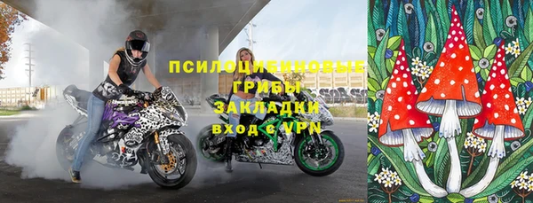 спиды Кизел